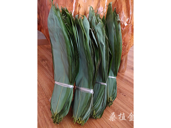 120-150g規(guī)格粽子 120-150g規(guī)格粽子