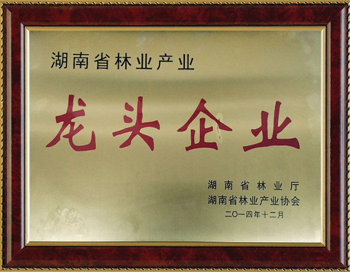 龍頭企業(yè)