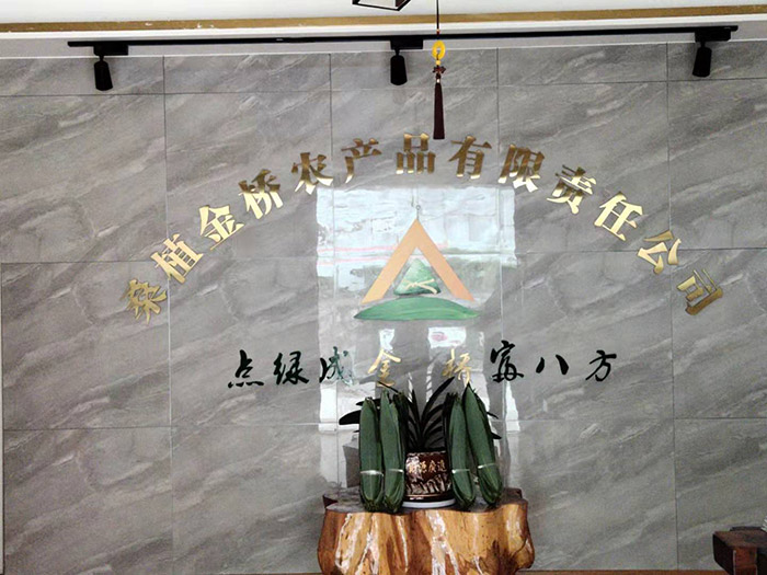 桑植金橋粽葉收購(gòu),桑植金橋粽葉加工,桑植金橋粽葉銷售,桑植金橋粽葉